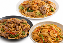 JAPANESE UDON
